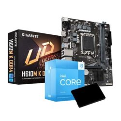 Combo Ecovision Intel I3-13100F + Mother + SSD 480GB