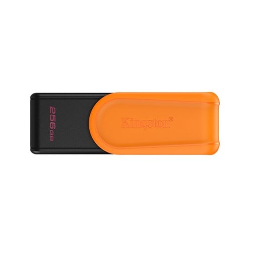 Pen Drive KINGSTON 256GB USB 3.2 DTXS (8736)